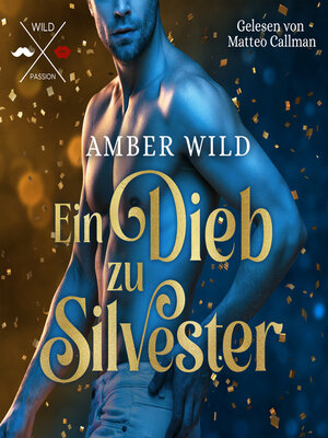 cover image of Ein Dieb zu Silvester--Humorvolle Gay Romance zu Weihnachten (ungekürzt)